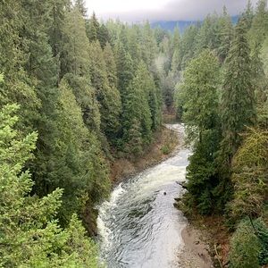 Meet your Posher, Anni